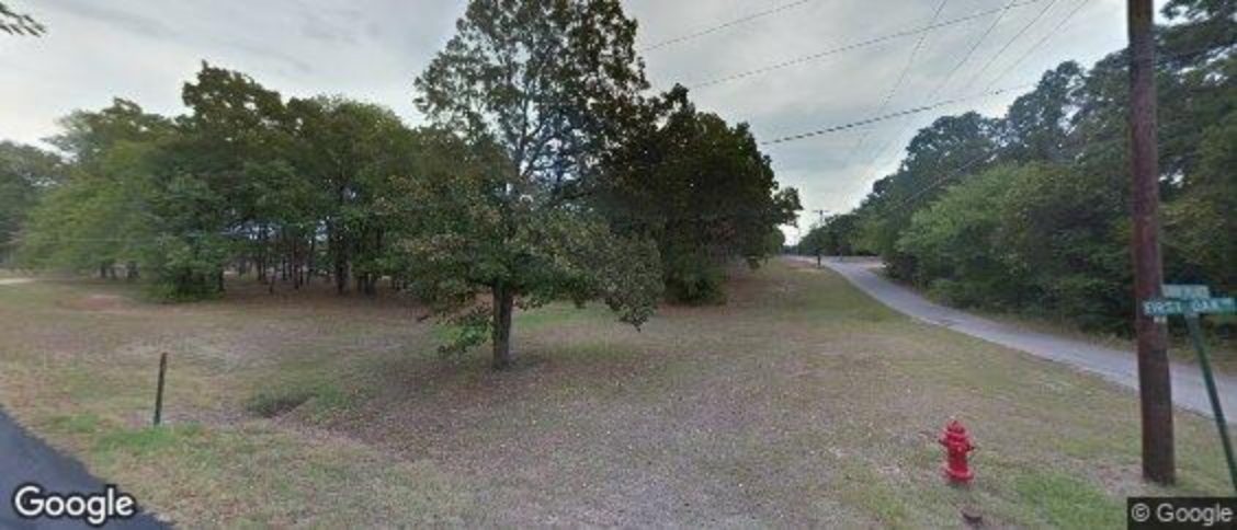 Enchanted Oaks in