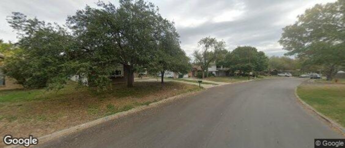Live Oak in San Antonio