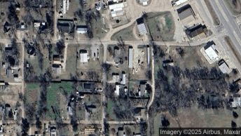 Lone Oak in