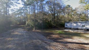 Pine Forest in Beaumont