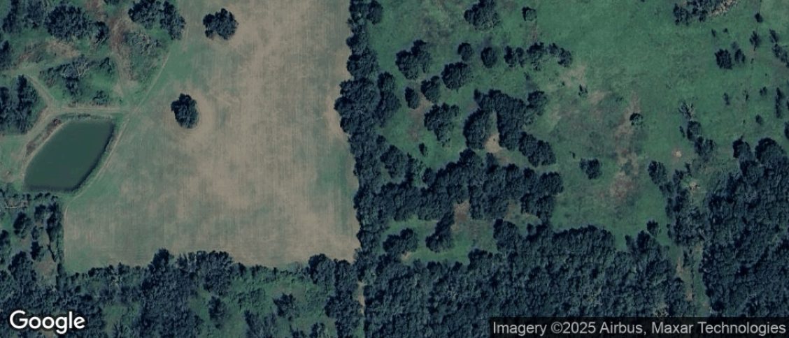 Wild Peach Village in